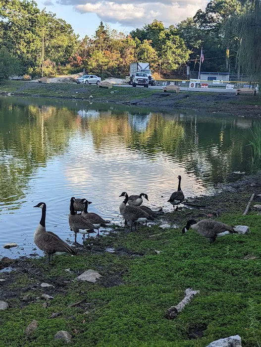 Roe Park Picture 6