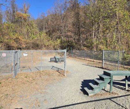 Dog park