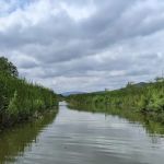 Constitution Marsh Audubon Center and Sanctuary