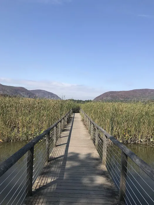 Constitution Marsh Audubon Center and Sanctuary Picture 7