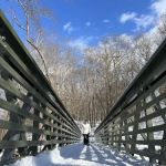 The Twin Sister Bridges, Hubbard Loop Trail