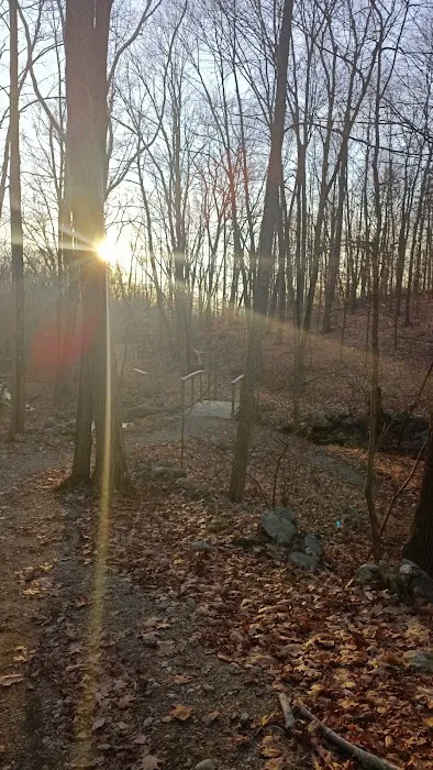 Hubbard Perkins Loop Trail Picture 5
