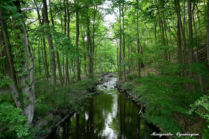 West Point Foundry Preserve Picture 7