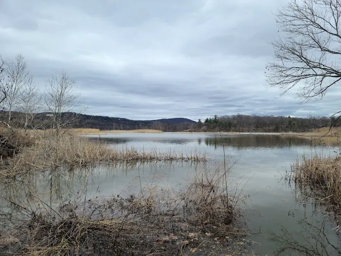 West Point Foundry Preserve Picture 6