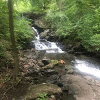 Foundry Dock Park ico