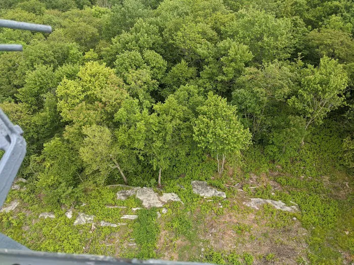 Nimham Mountain Multiple Use Area Picture 9