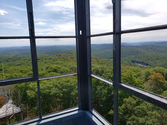 Nimham Mountain Multiple Use Area Picture 2