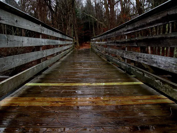 Saugatuck Falls Natural Area Picture 7