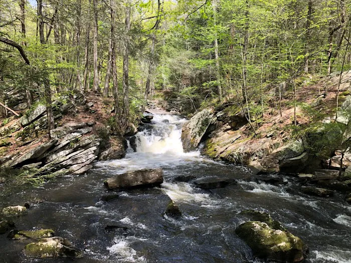 Saugatuck Falls Natural Area Picture 5