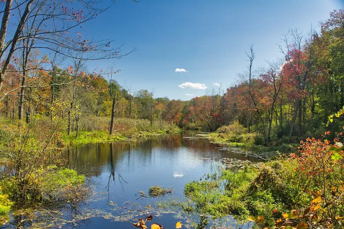 Saugatuck Falls Natural Area Picture 8