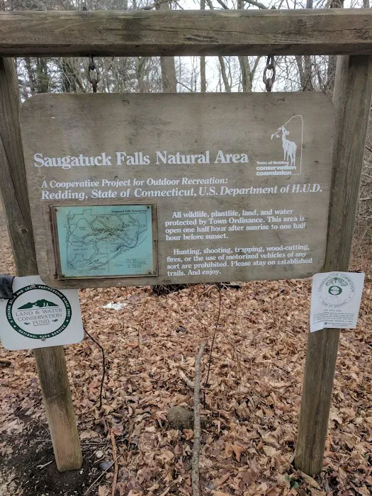 Saugatuck Falls Natural Area Picture 1