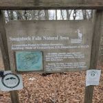 Saugatuck Falls Natural Area