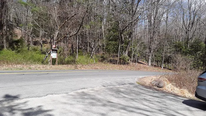 Saugatuck Universal Access Trail Picture 7
