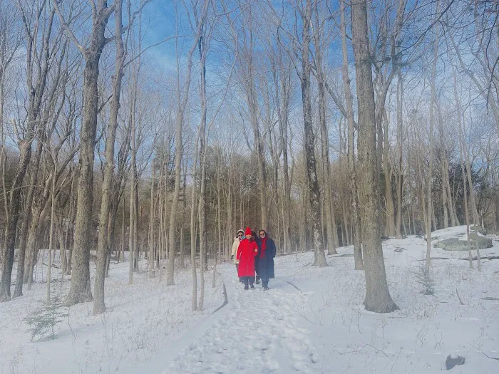 Saugatuck Universal Access Trail Picture 10