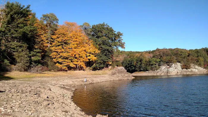 Saugatuck Universal Access Trail Picture 4