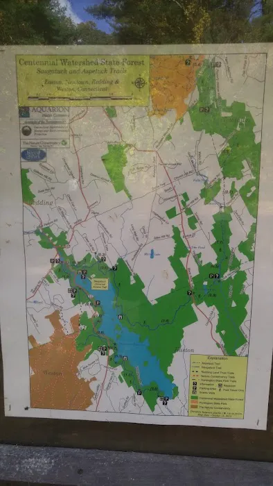 Saugatuck Universal Access Trail Picture 3