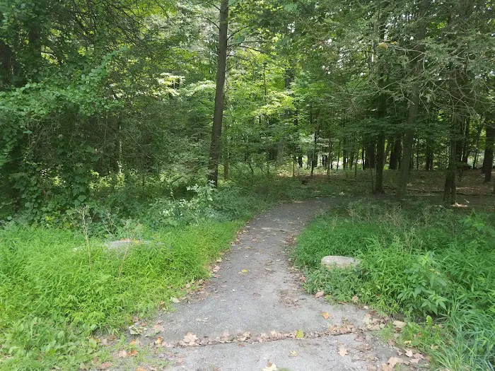 Saugatuck Universal Access Trail Picture 5