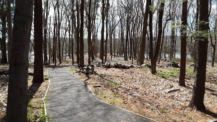 Saugatuck Universal Access Trail Picture 2
