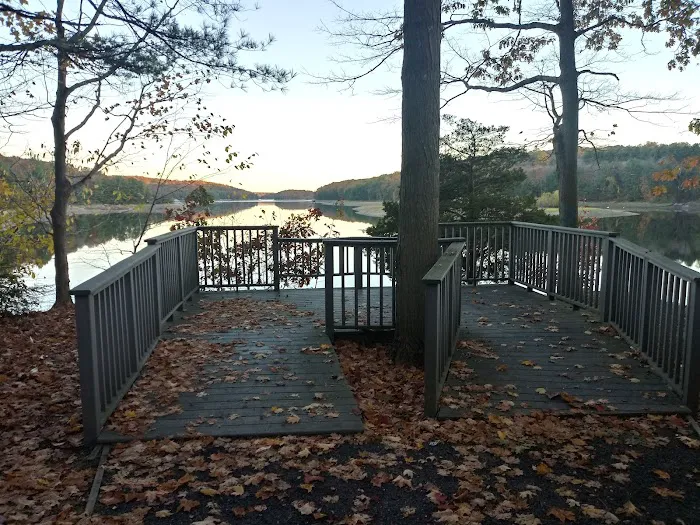 Saugatuck Universal Access Trail Picture 6