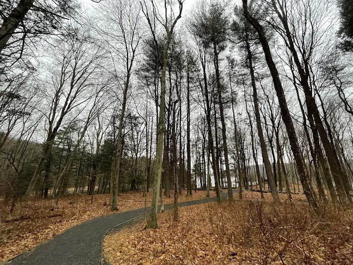 Centennial Watershed State Forest Picture 9