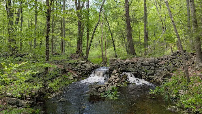Centennial Watershed State Forest Picture 3
