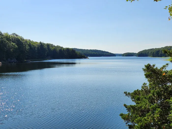 Centennial Watershed State Forest Picture 4