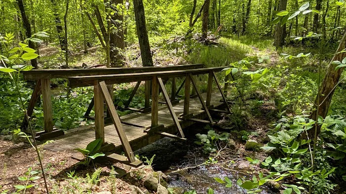 Centennial Watershed State Forest Picture 1