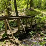 Centennial Watershed State Forest