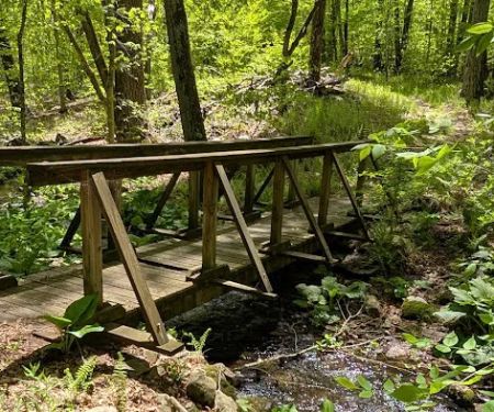 Centennial Watershed State Forest