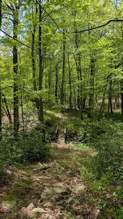 Centennial Watershed State Forest Picture 6