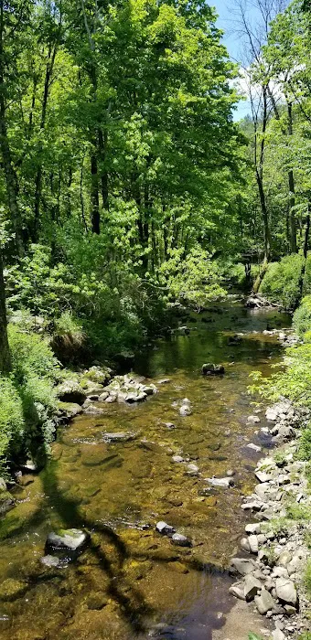 Centennial Watershed State Forest Picture 7