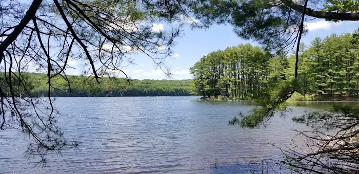 Centennial Watershed State Forest Picture 6