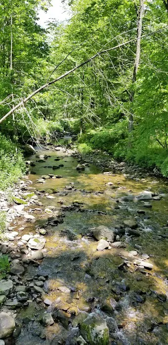 Centennial Watershed State Forest Picture 2