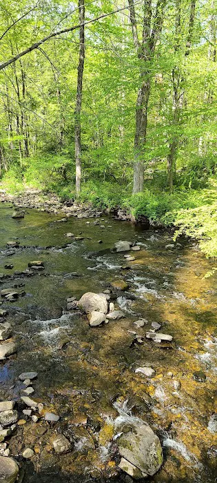 Centennial Watershed State Forest Picture 5