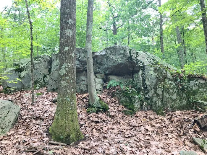 Jump Hill Preserve Picture 6
