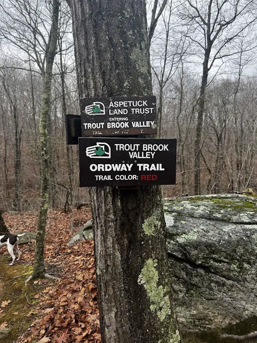 Jump Hill Preserve Picture 8