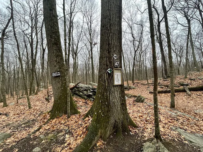 Jump Hill Preserve Picture 2