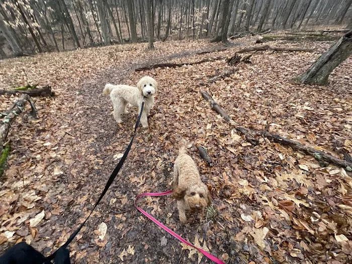 Jump Hill Preserve Picture 1