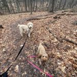 Jump Hill Preserve