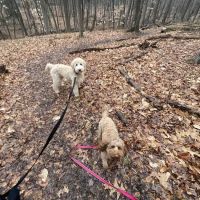 Jump Hill Preserve ico