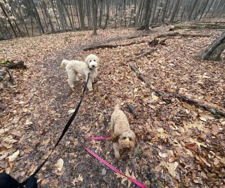 Jump Hill Preserve