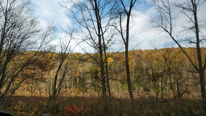 Wooster Mountain State Park Scenic Reserve Picture 6