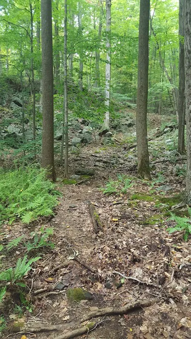 Wooster Mountain State Park Scenic Reserve Picture 7