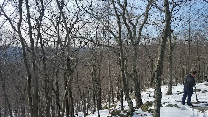 Wooster Mountain State Park Scenic Reserve Picture 3