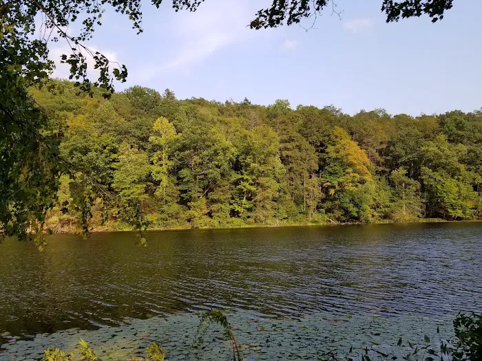 Wooster Mountain State Park Scenic Reserve Picture 9