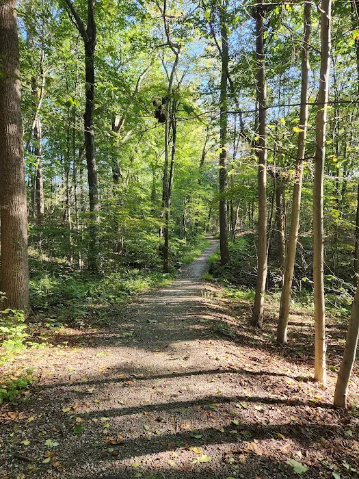 Ives Trail Picture 4