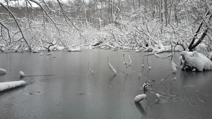 Ives Trail Picture 9
