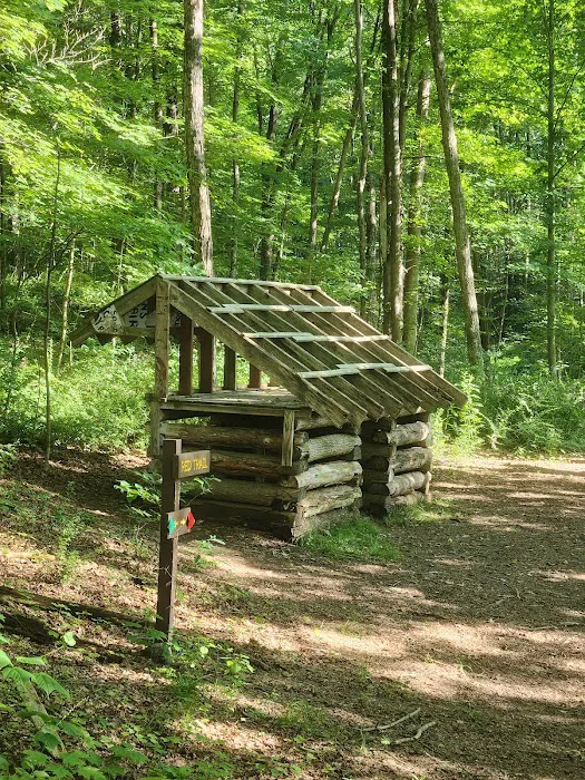 Ives Trail Picture 7