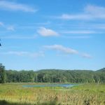 Ives Trail