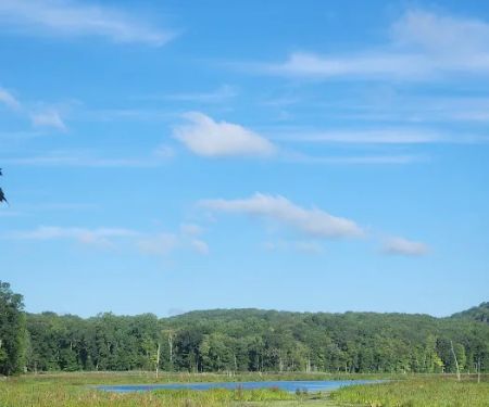 Ives Trail